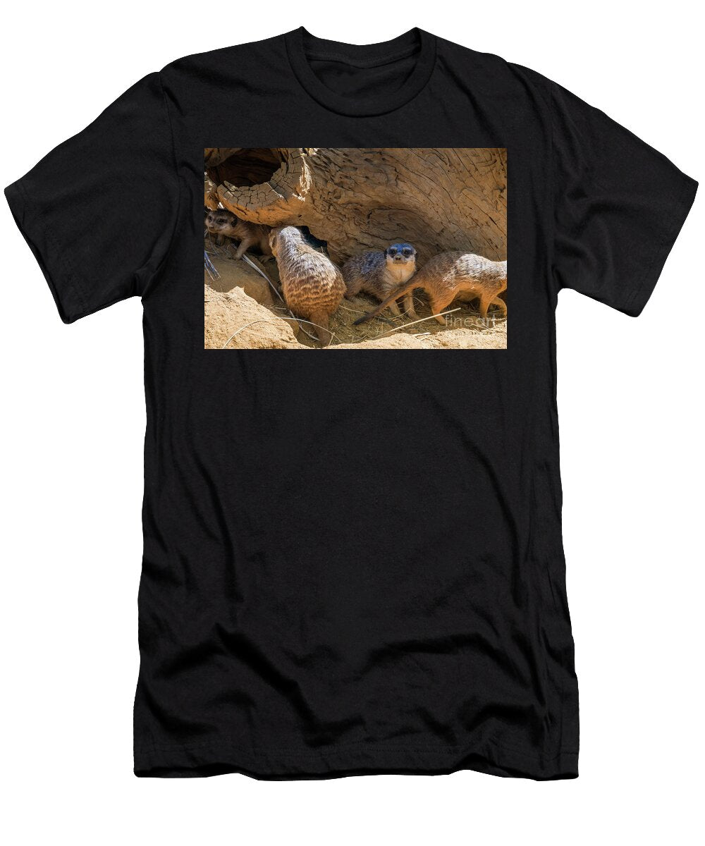 1 Funny Meercats Sitting and Watching on You Beautiful Things T-Shirt