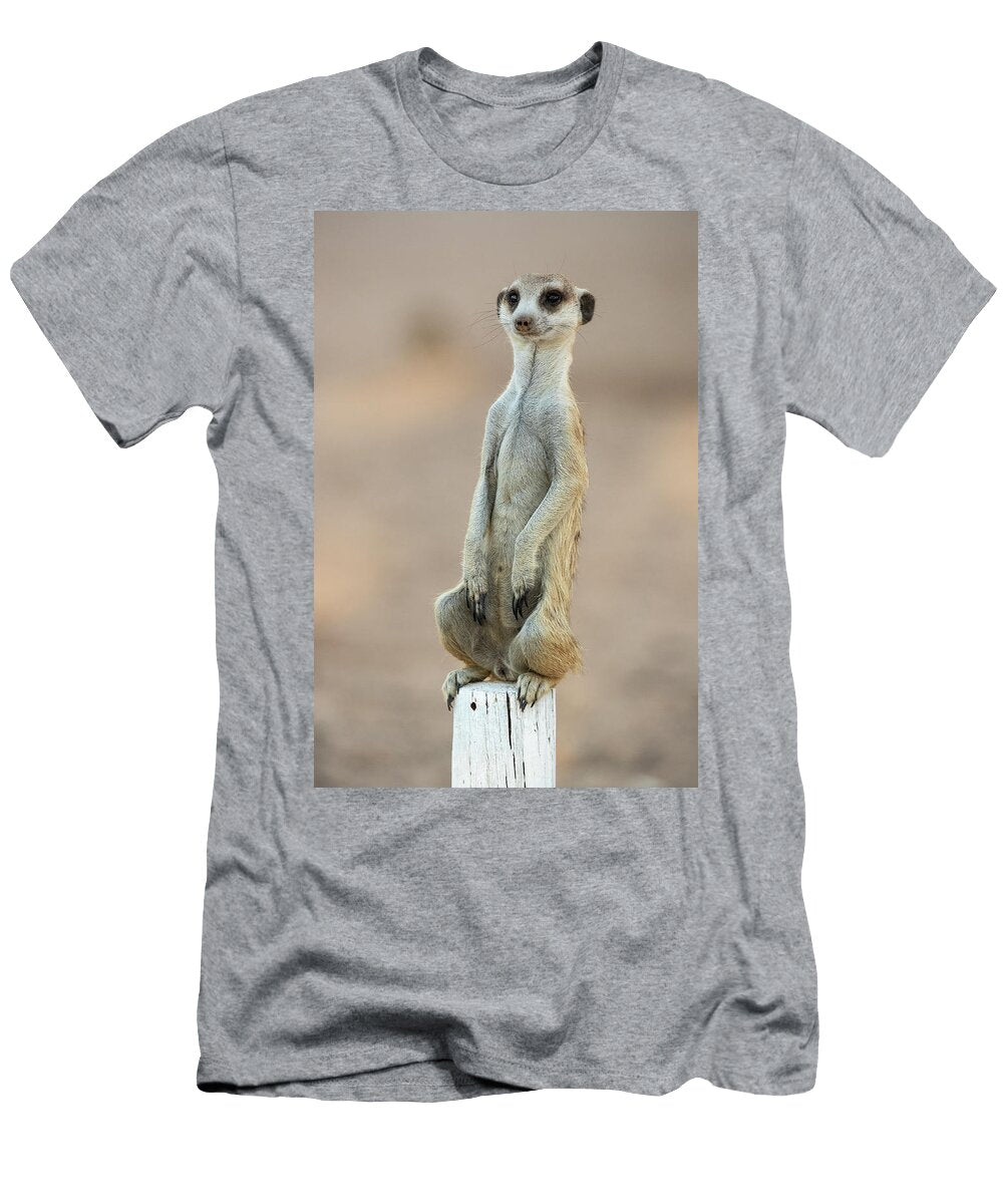 1 Meerkat Sentry Kgalagadi Transfrontier Park Northern Ann Steve Toon Natureplcom T-Shirt