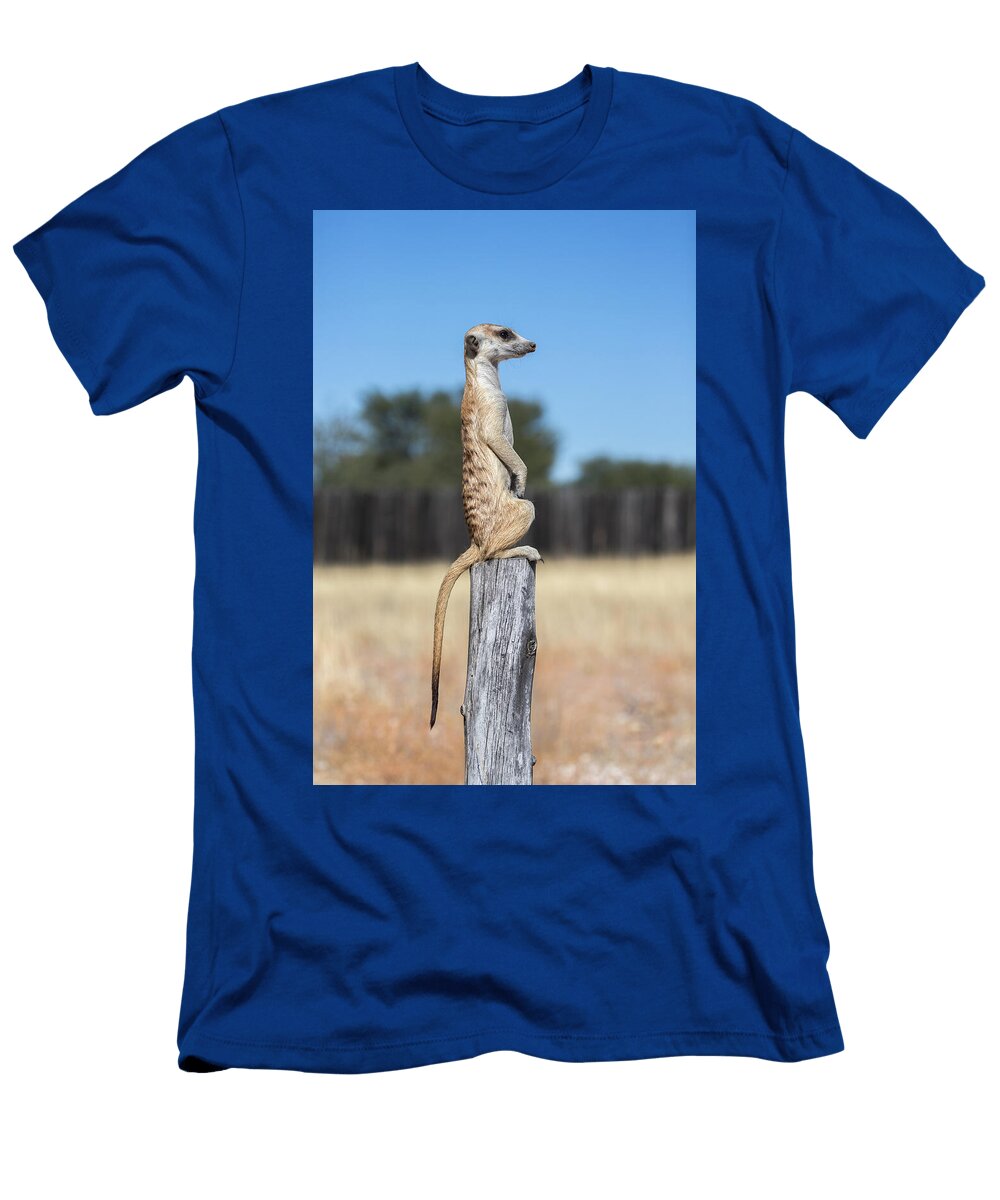 2 Meerkat Sentry Kgalagadi Transfrontier Park Northern Ann Steve Toon Natureplcom T-Shirt