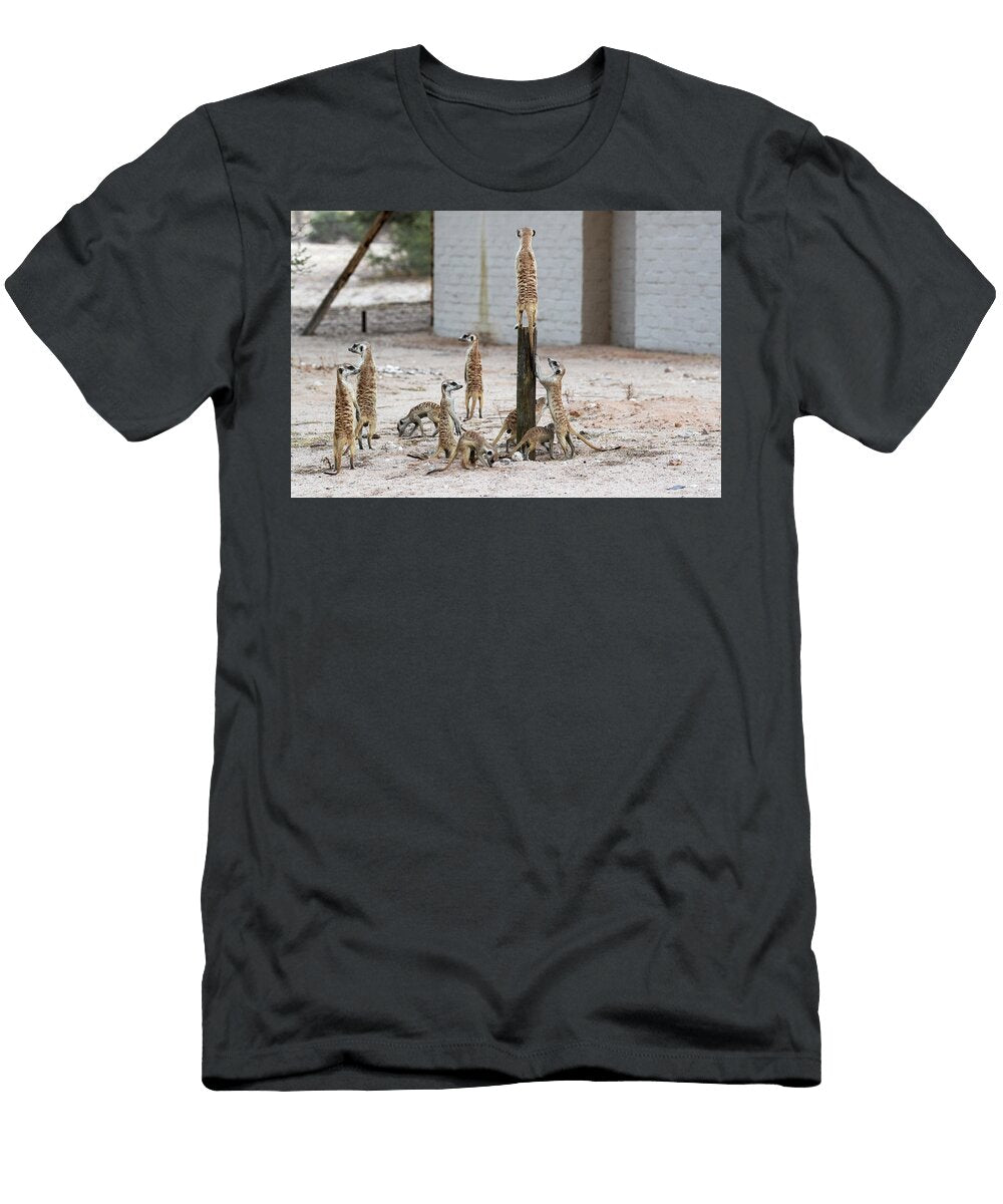3 Meerkat At Campsite Kgalagadi Transfrontier Park Northern Ann Steve Toon Natureplcom T-Shirt