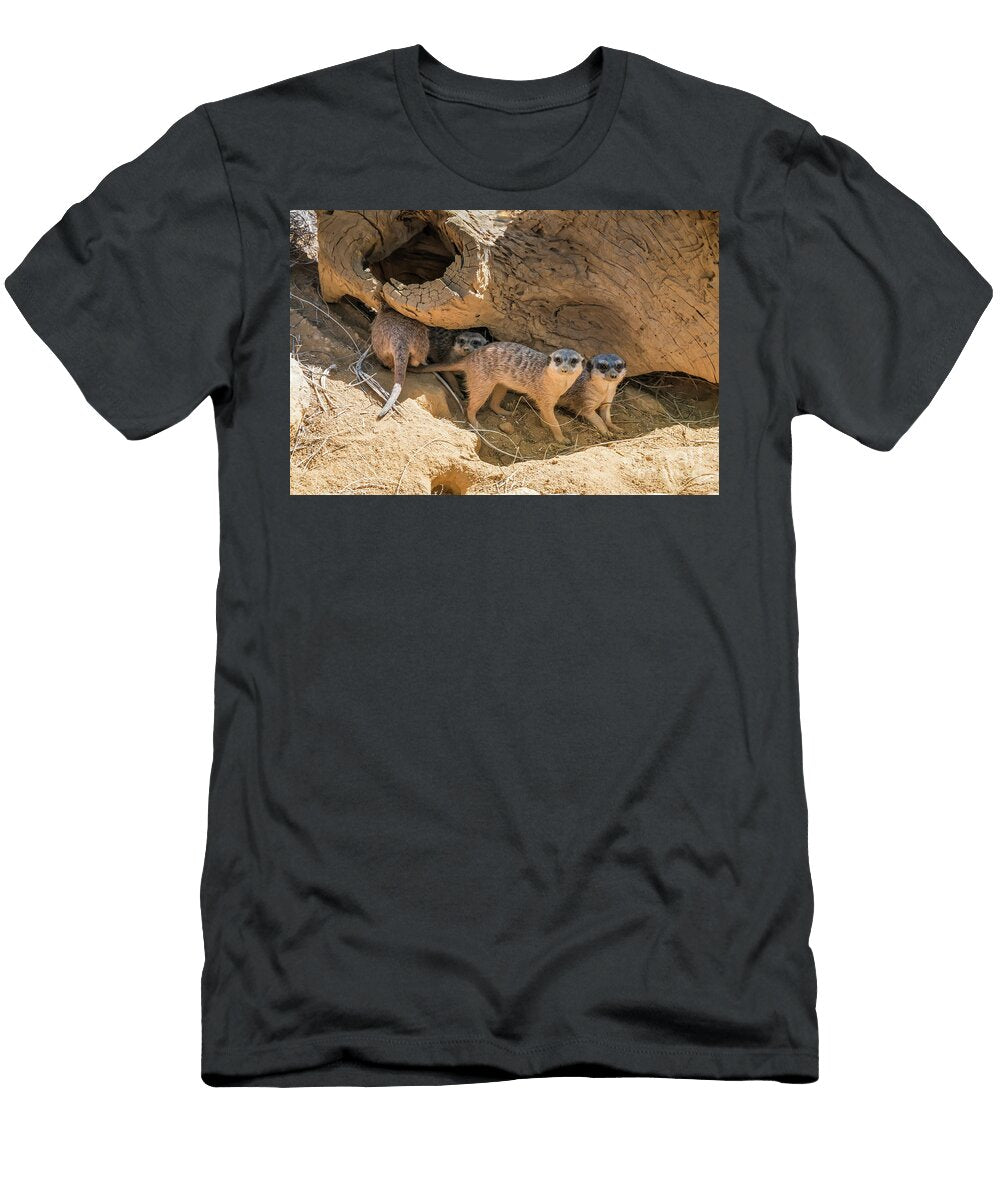 Funny Meercats Sitting and Watching on You Beautiful Things T-Shirt