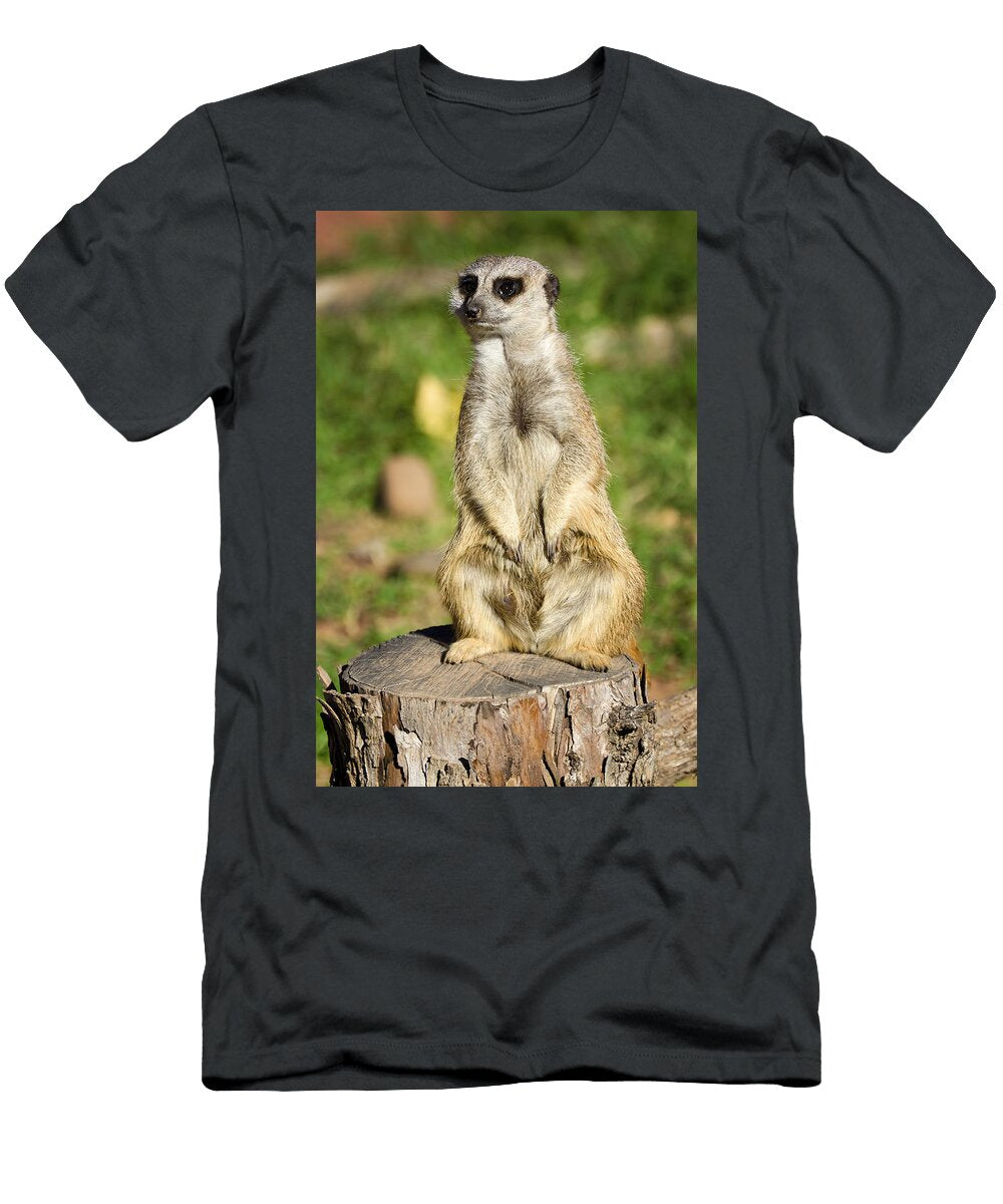 Keeping Guard Ricky Barnard T-Shirt
