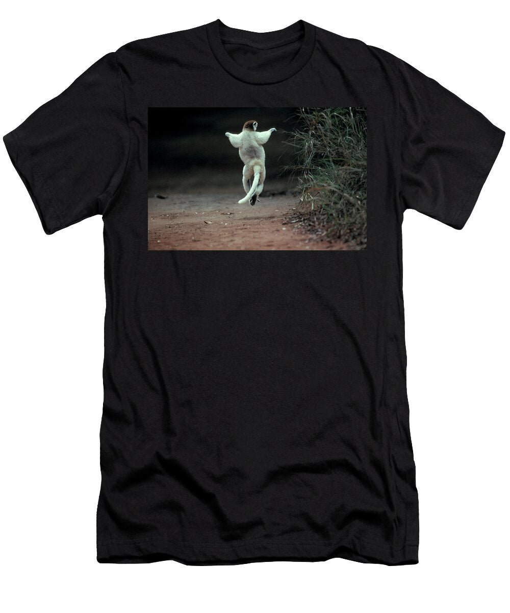Lemur in Sifaka Madagascar Animal Images T-Shirt