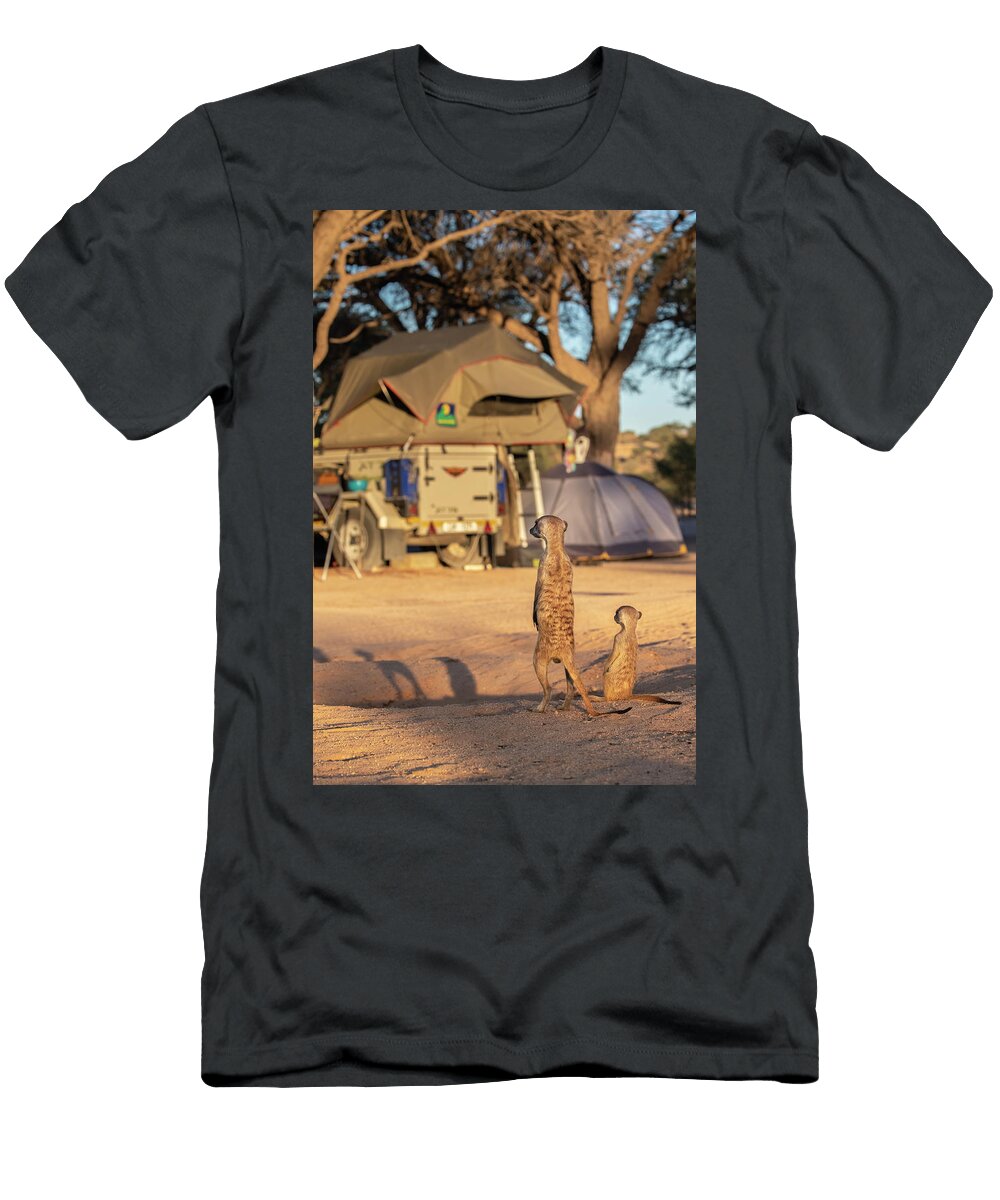 Meerkat in Campsite Kgalagadi Transfrontier Park Northern Ann Steve Toon Natureplcom T-Shirt