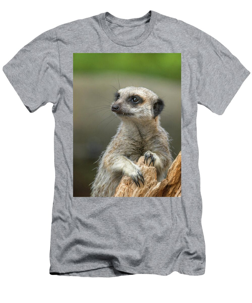 Meerkat Model Racheal Christian T-Shirt