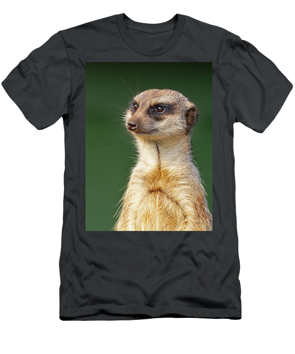 Meerkat Portrait Ernie Janes Natureplcom T-Shirt