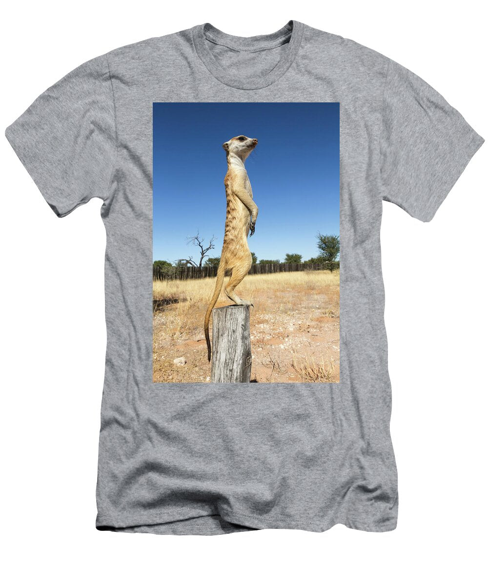 Meerkat Sentry Kgalagadi Transfrontier Park Northern Ann Steve Toon Natureplcom T-Shirt