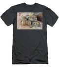 Meerkat Sleeping Kgalagadi Transfrontier Park Northern Ann Steve Toon Natureplcom T-Shirt