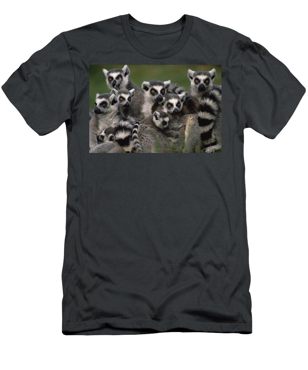 Ring Tailed Lemur Lemur Catta Group Gerry Ellis T-Shirt